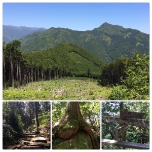 遠藤クリニック 職員 登山 熊野古道