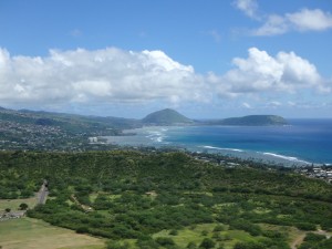 整形外科 遠藤クリニック ハワイ