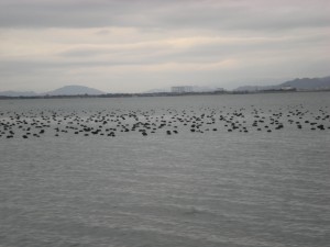 DSCN2288