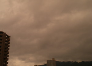 DSCN2441